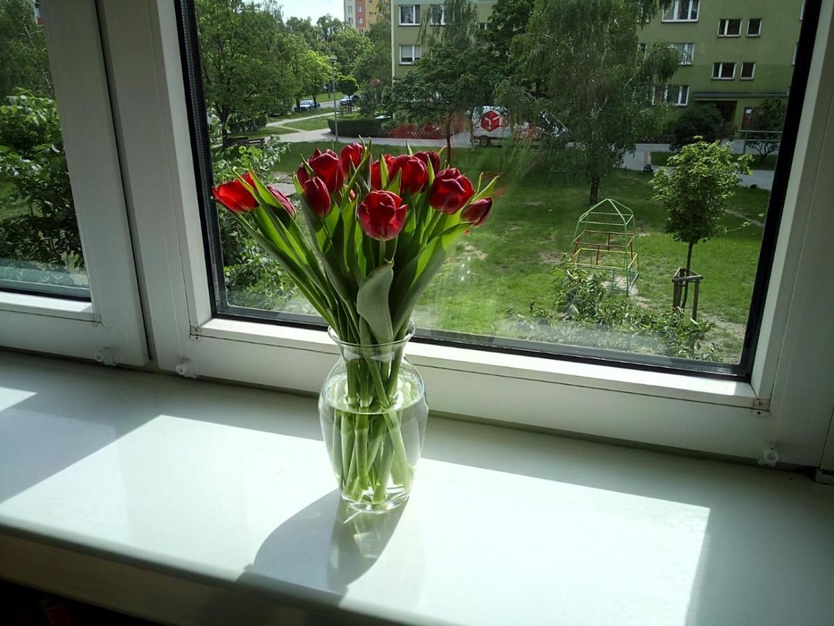 Usmiech Apartment *