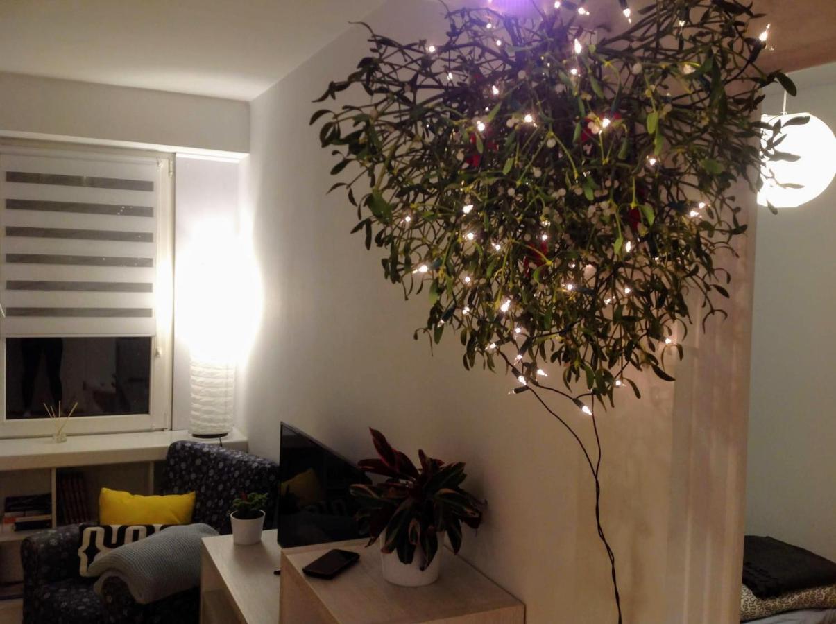 Usmiech Apartment *